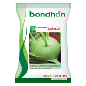 Bondhon KnolKhol - Rocket-33