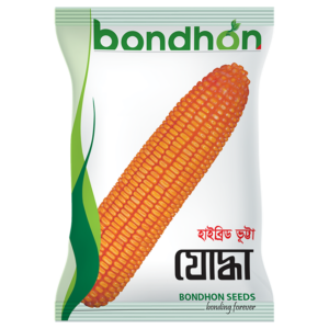 Bondhon Maize- Joddha