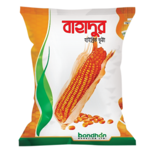 Bondhon Maize- Bahadur