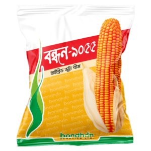 Bondhon Maize- BS-999