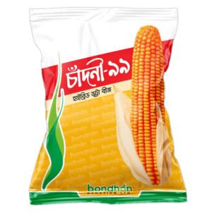 Bondhon Maize- Chandni-99